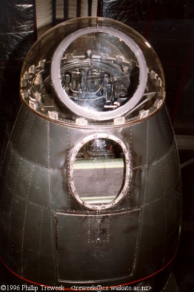 lower nose