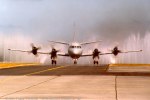 Taxying - birdbath