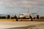 Taxying - nose on