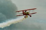 Pitts S1