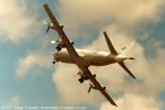 airborne - underside and rear