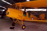 Tiger Moth