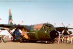 Display - Singaporean Herc