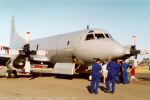 Ground - nose on