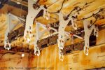 Weapons bay