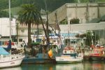 boats - Gisborne inner harbour