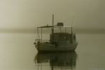 boat in seafog - Whitianga estuary