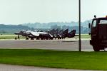 Harriers
